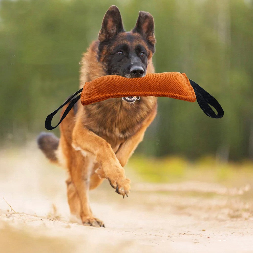 Hunde Spielzeug