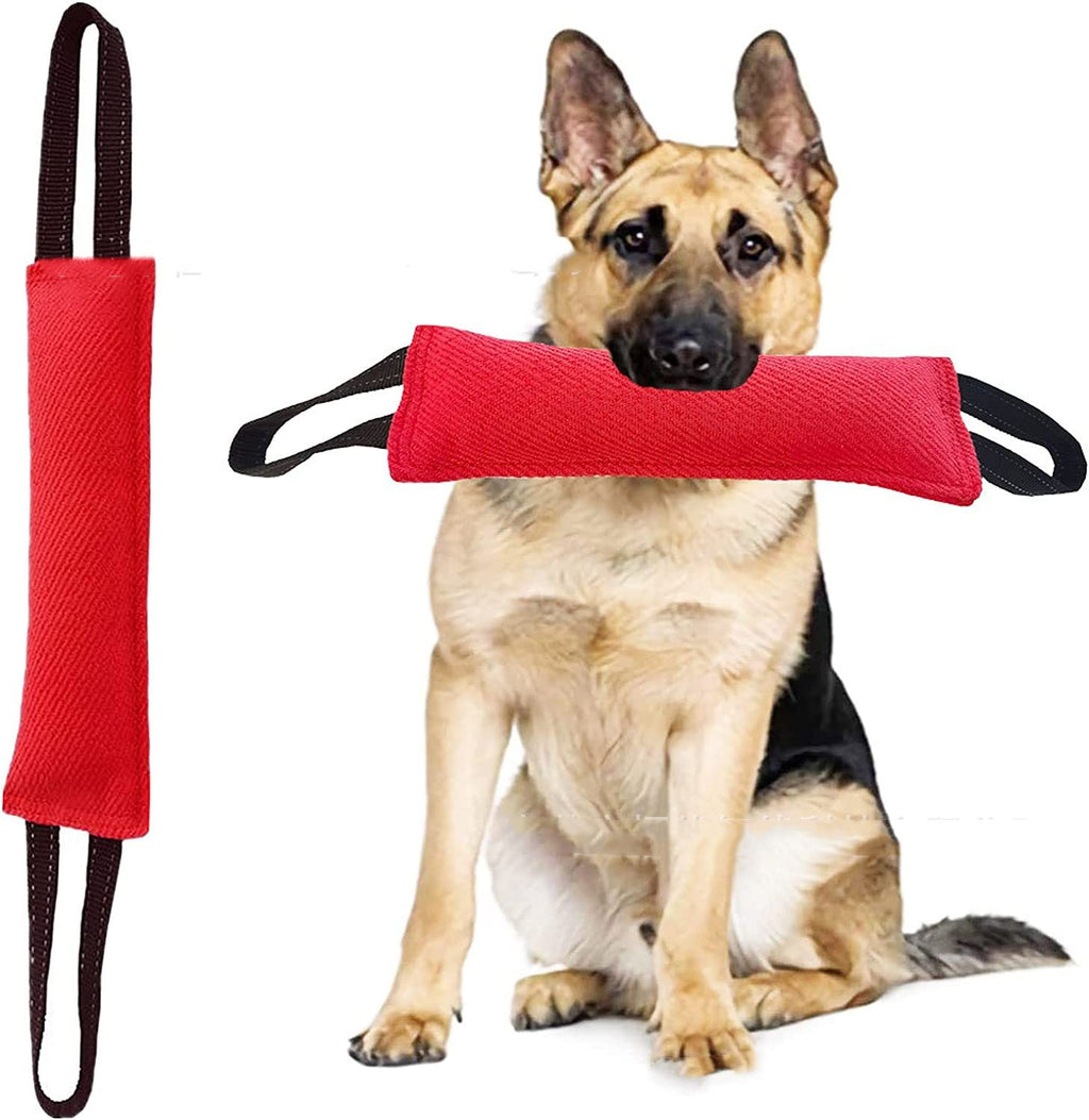 Hunde Spielzeug